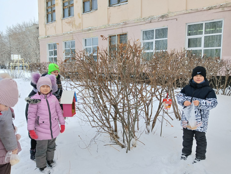 Покормите птиц зимой.